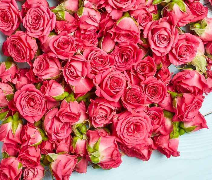 A large bouquet of pink roses