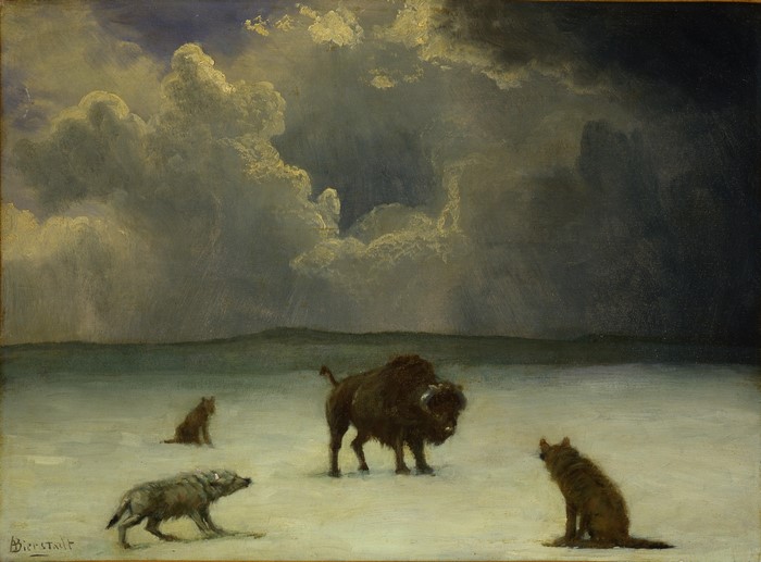 American Bison and Wolves in a Stormy Landscape by Albert Bierstadt