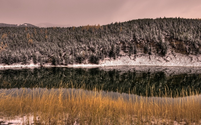 Snow-dusted forest reflected in a calm lake