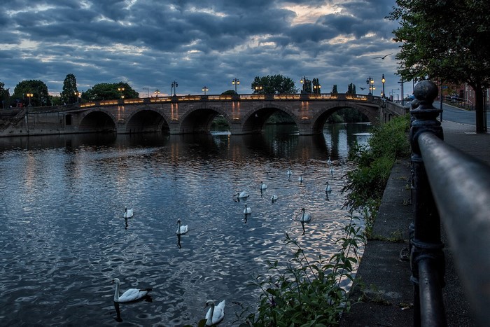 Worcester River Severn Bridge at Dusk with Swans