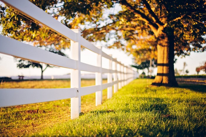 White fence and tree in a field