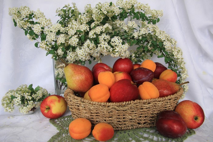 Still life with fruits and flowers