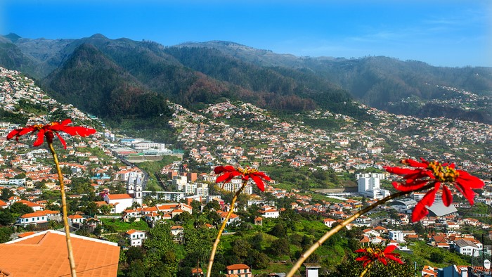 4K Madeira Camara de Lobos Portugal Houses Hill