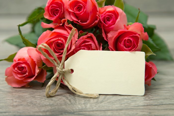 Pink Roses with Blank Gift Tag