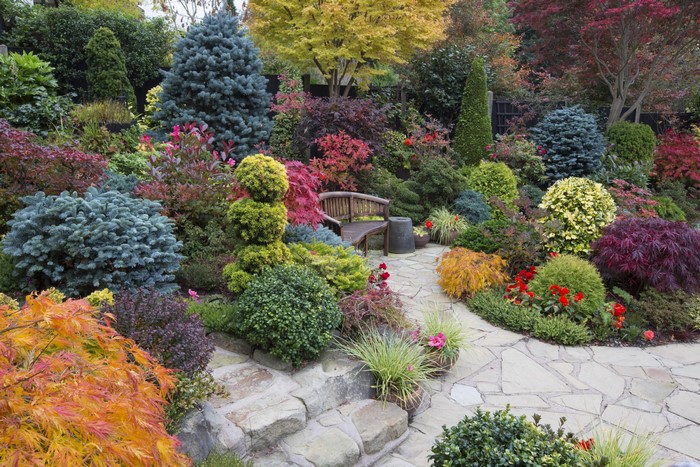 Autumn garden with colorful shrubs and a bench in Walsall, England