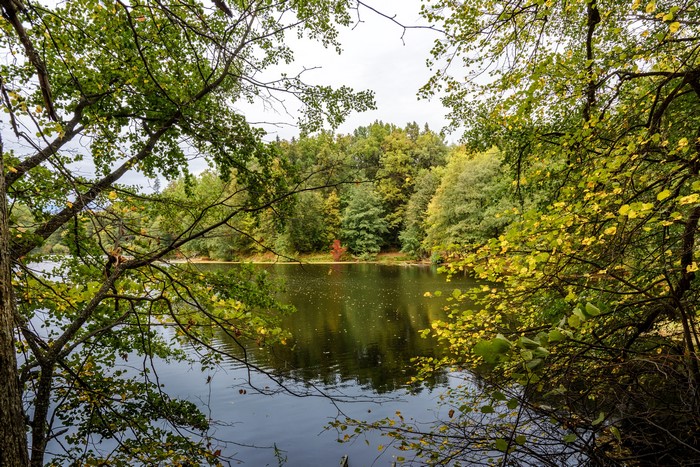 Pond surrounded by trees in Trostianets, Ukraine