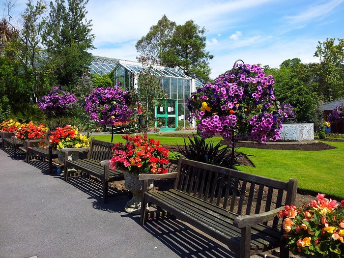 Swansea Botanic Gardens with hanging petunias and benches