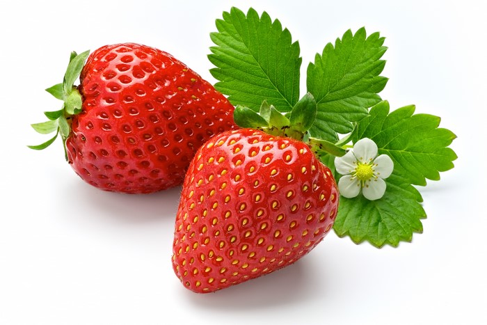 Two strawberries with leaves and flower