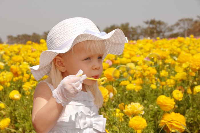 Little girl in a hat blowing soap bubbles in a field of yellow flowers