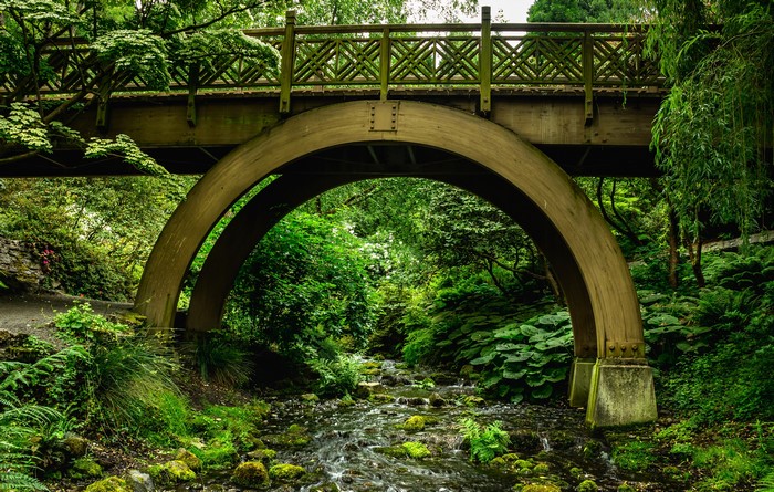 Wooden bridge over a stream in a garden