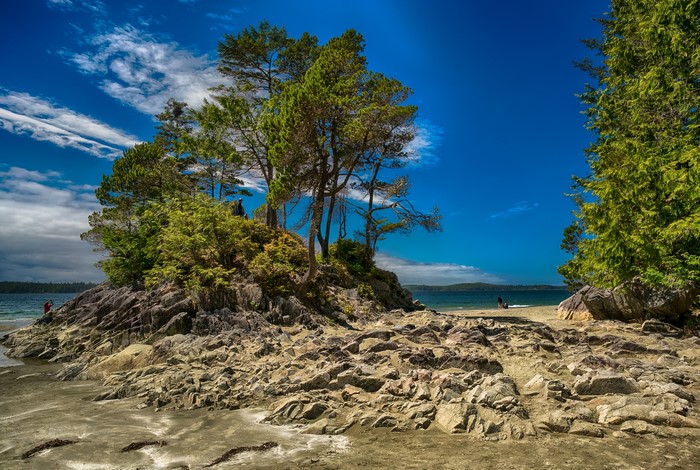 Rocky Coastline with Trees and Ocean in Tofino, British Columbia