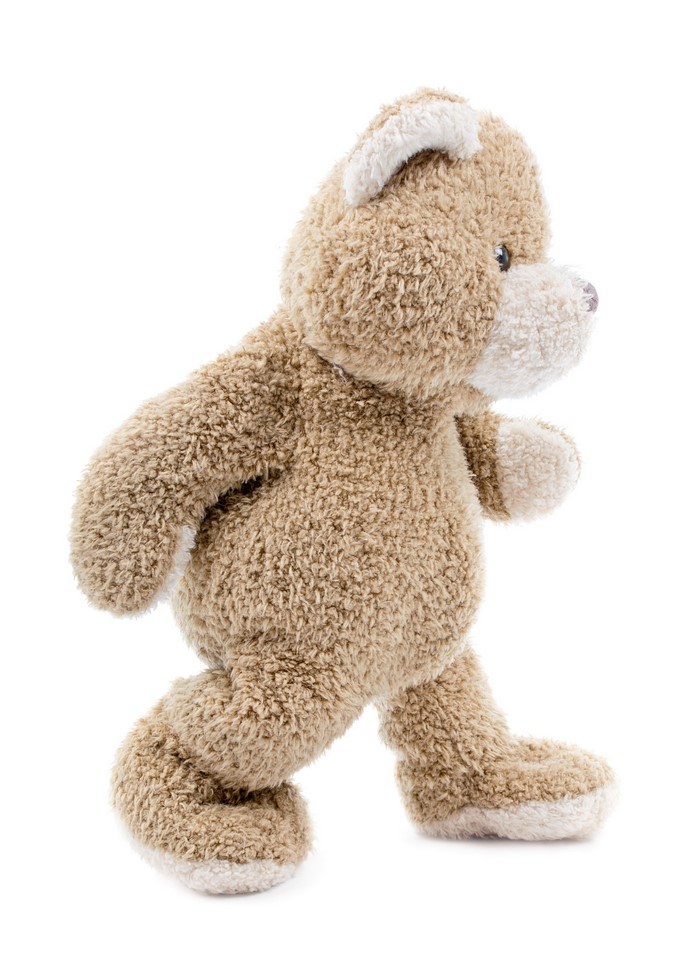 Teddy bear walking