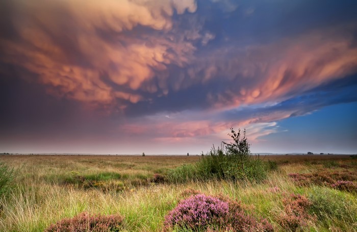Pink and orange clouds over a grassy moor