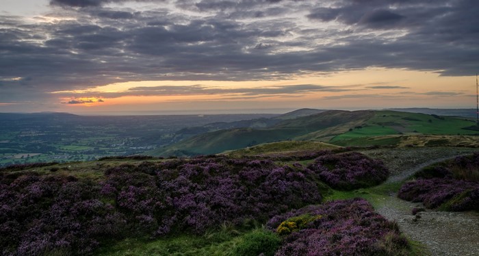 Heather and rolling hills at sunset in North Wales, UK