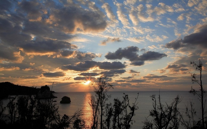 Sunset over the ocean with clouds and trees