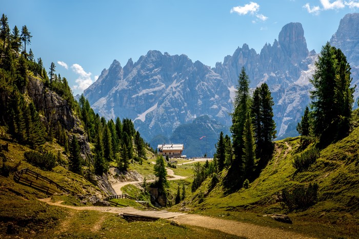 4K Scenic View of Dolomites Trail and Trees in Italy