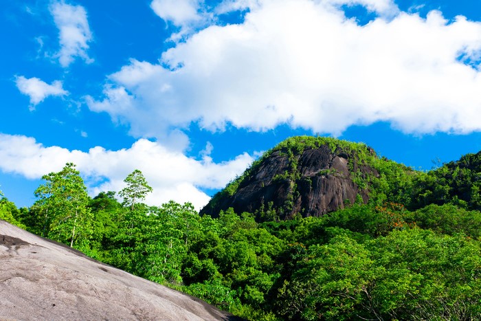 Mountain Crag with Green Forest and Blue Sky