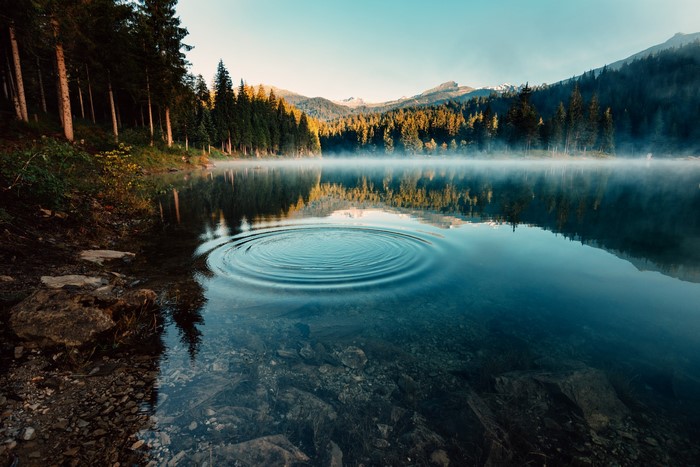 Lake with morning fog and ripples