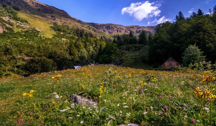 Mountain meadow with a wooden cabin in Bausen, Catalonia, Spain