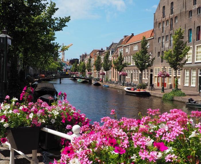 Canal in Leiden, Netherlands with Houses and Flowers