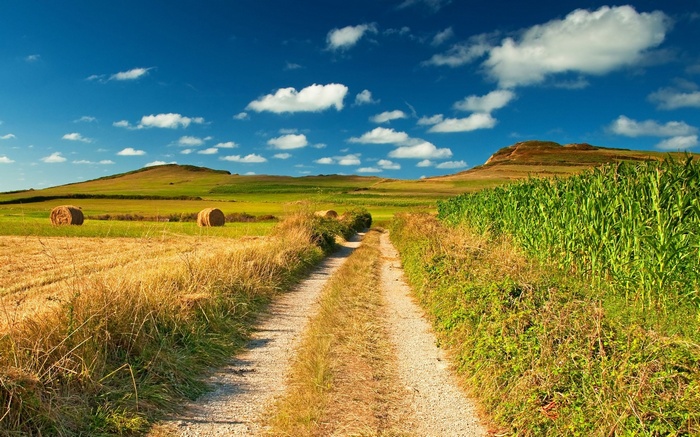 Dirt road through a rural landscape with hay bales and cornfield