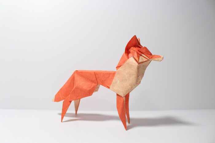 Origami Fox on Gray Background