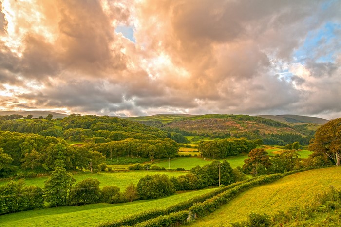 Rolling green hills and trees under a cloudy sky in Wales