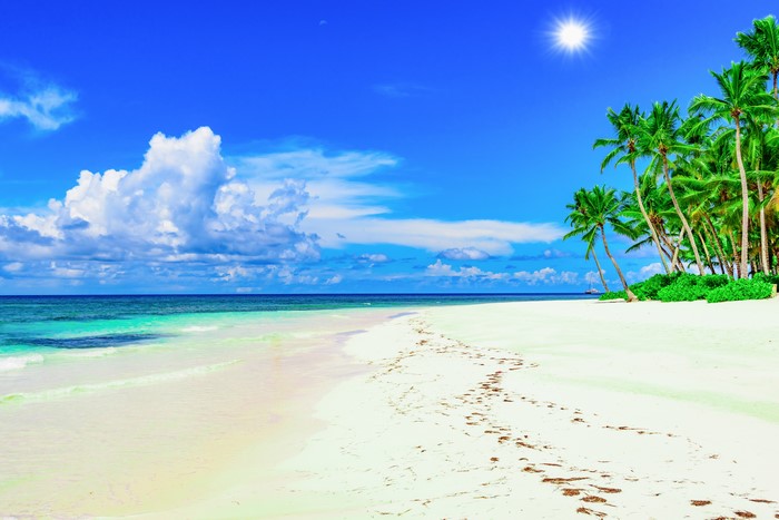 Tropical Beach with Palm Trees and Blue Sky