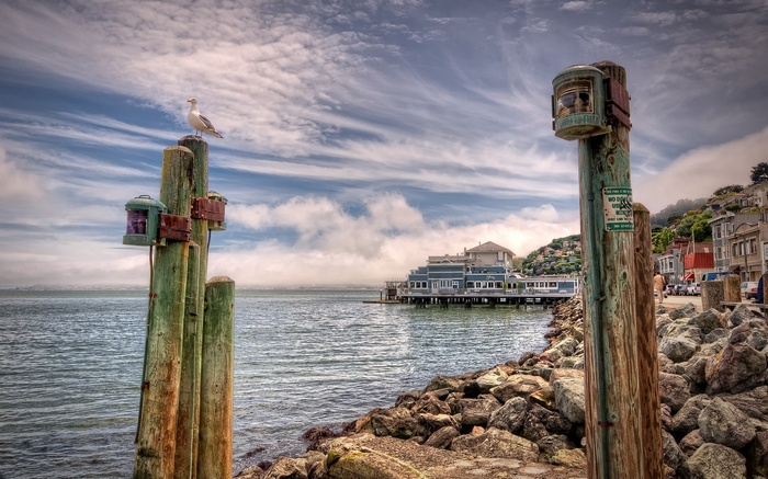 Seagull on post by the water with buildings in background