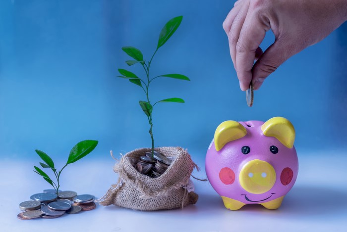 Money growing from coins into a piggy bank