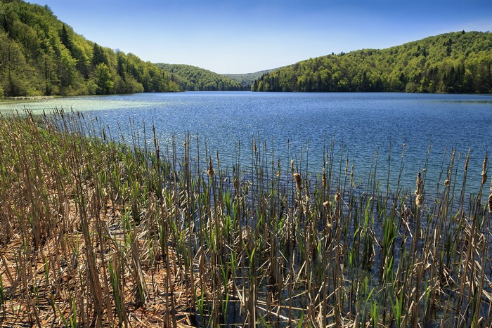 Lake and forest in Plitvice National Park, Croatia