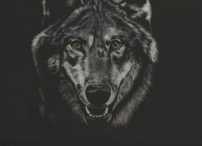 Close-up painting of a wolf's head