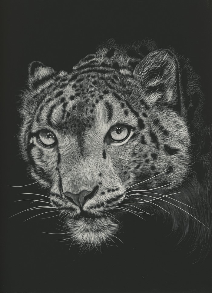 Black and white painting of a snow leopard's face