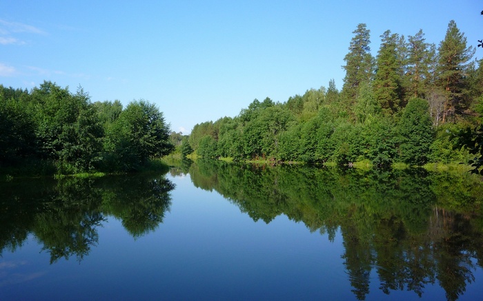 Calm lake reflecting trees and blue sky