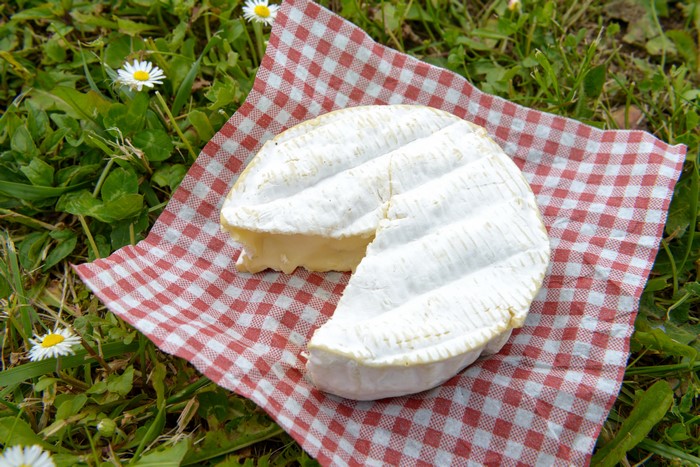Cheese on a checkered cloth in grass