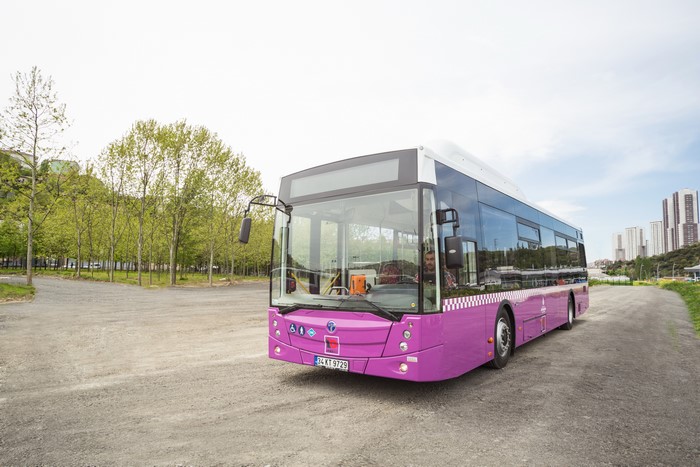 Violet 2014-17 Temsa Avenue LF CNG Bus