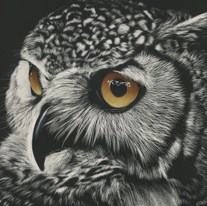 Close-up painting of an owl's face with yellow eyes