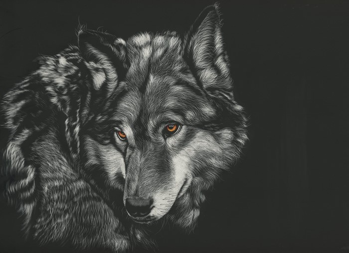 Painting of a wolf's head on a black background