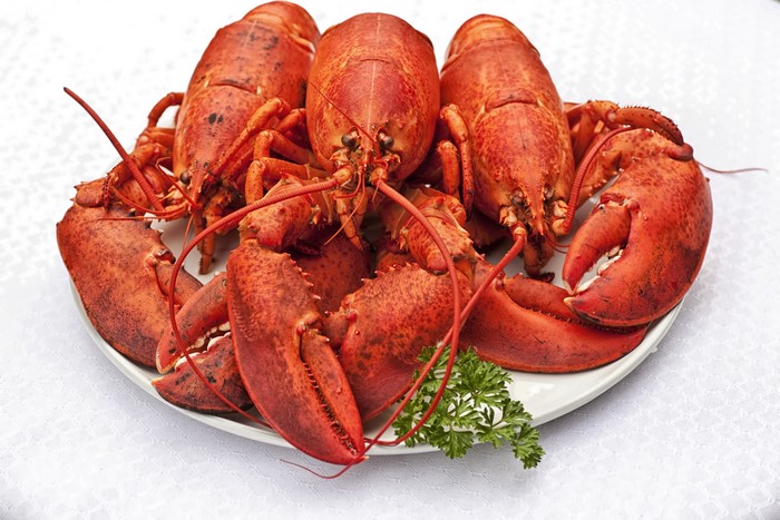 Plate of Cooked Lobsters with Parsley
