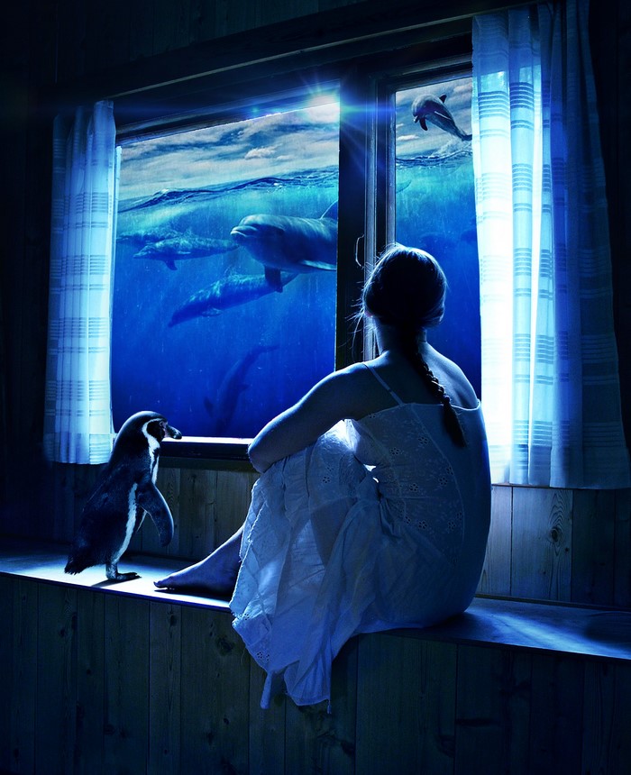 Girl and Penguin watch Dolphins through a window