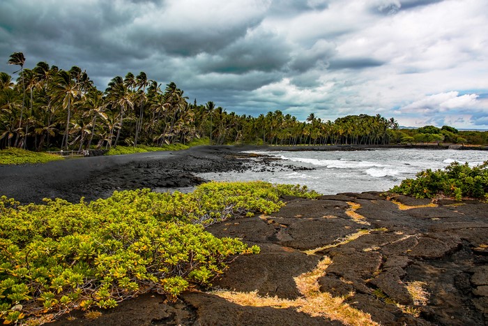 Black sand beach with palm trees and lava rocks in Hawaii