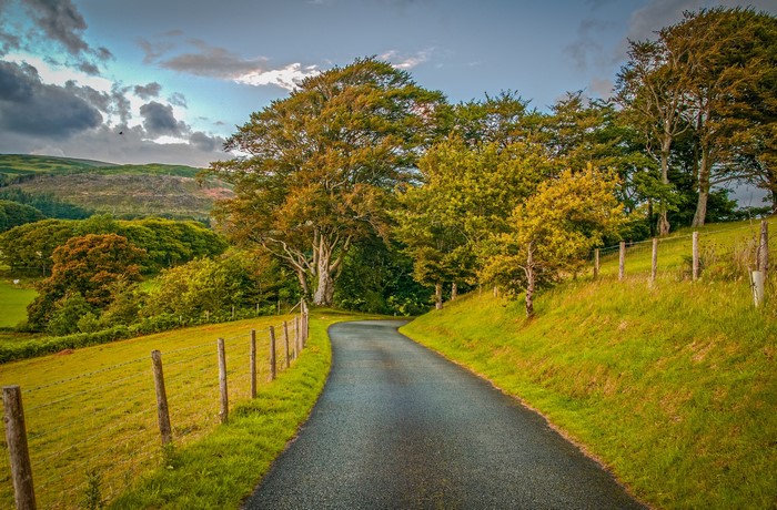 Road through autumn trees in Wales, United Kingdom