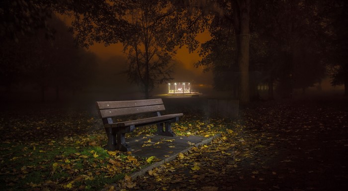Park bench at night in autumn