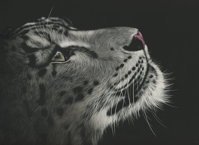 Close-up painting of a snow leopard's face