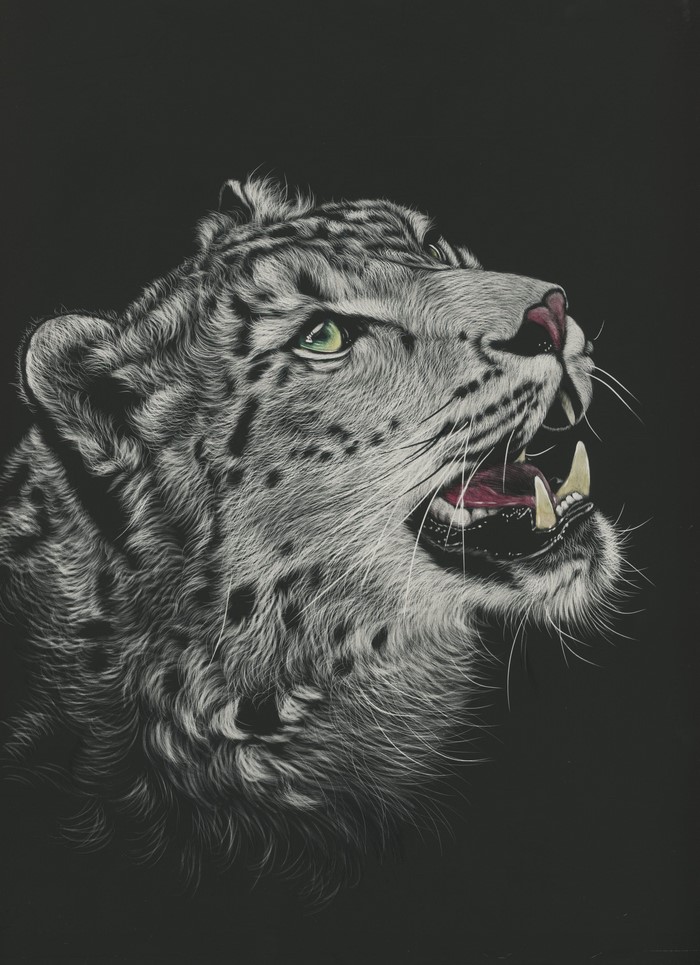 Painting of a Snow Leopard's Head on Black Background
