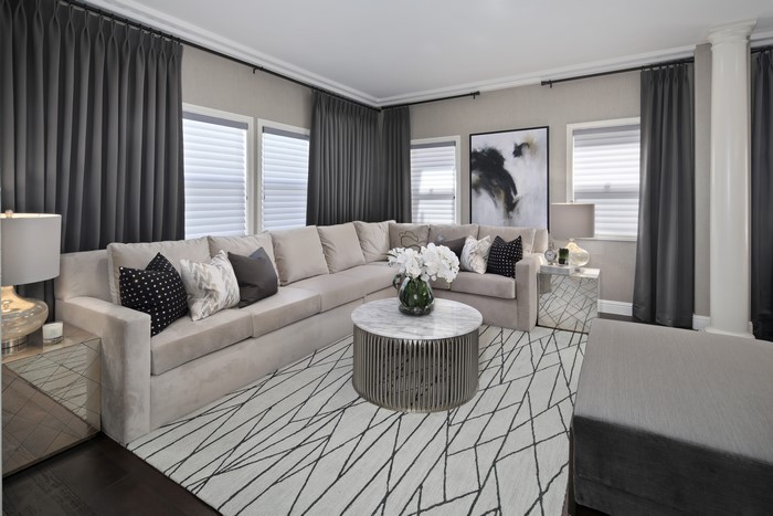Living room with sectional sofa and modern rug
