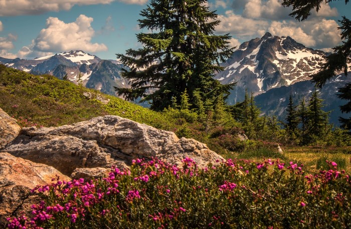 Cascade Range Mountains in Washington, USA