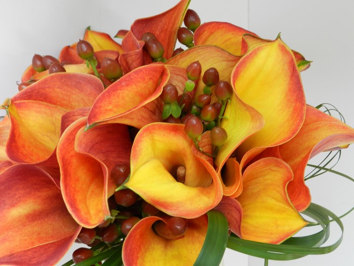 Orange and yellow calla lilies with hypericum berries