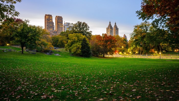 Central Park New York City in Autumn
