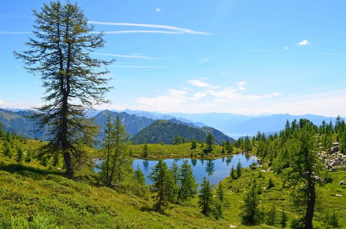 Mountain lake with trees and distant mountains